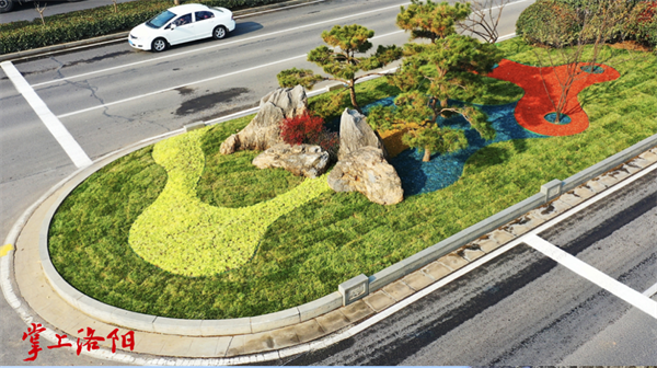 洛阳市区400万平方米绿化景观“提颜值”
