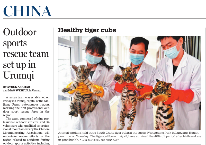 3 cubs born in major South China tiger zoo