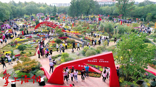 洛阳市首届花境大赛开幕，快来中国国花园“打卡”